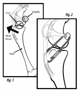 infographic showing the process of a lateral suture