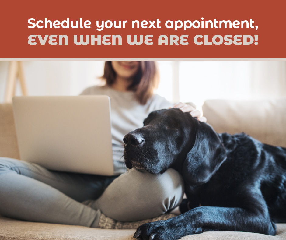 Testimonials | Cleveland Road Animal Hospital Testimonials | Cleveland Road Animal Hospital